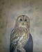 Чучело совы превью 484985.