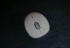 Превью Logitech V470 Mouse for Bluetooth White Санкт-Петербург - 2