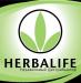 Дистрибьютор Гербалайф-продукты и бизнес превью 486405.