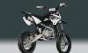 Питбайк мини-кросс YCF factory pilot 150cc 2010 превью 486726.