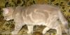 Превью Британские розовенькие плюшки Москва - 1