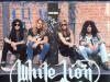 WHITE LION   * 5 DVD Collection * превью 491643.