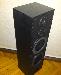 Превью Акустика 250 watt  hi - fi Напольная Москва - 2