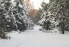 Превью Новый котедж в природоохранной зоне Москва - 4