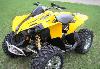 CAN AM bombardier renegade 800, 2007 превью 50585.