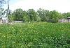 Превью Егорьевское ш 87 км.15 соток в деревне Кувакино Москва - 1