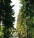 Превью Земельный участок в Подольском районе Подольск - 3