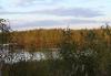 Превью Участок 10 соток. свет . вода Москва - 1