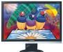 Монитор Viewsonic va2226w. Почти новый превью 502829.