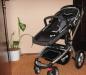 Превью Safety 1st by Baby Relax road master Москва - 1