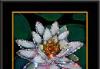 Картина из кристаллов Сваровски Лотос превью 503839.