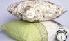 Одеяла подушки превью 504421.