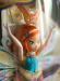 Превью Блум с маской  Дафны Winx Винкс Санкт-Петербург - 2