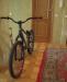 Mutantbikes Evolution 2009 превью 523328.