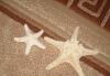 Превью Морские звезды 2шт Мытищи - 1