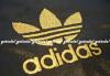 Превью Спортивный костюм Адидас- Adidas Chile 62 Москва - 1