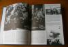 Превью Luftwaffe. Военно-воздушные силы III Рейха Москва - 1