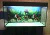 Аквариум 400 литров превью 556948 Аквариум 400 литров превью 556948.