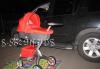 Коляска stokke xplory 2В1 новая коллкекция 2010 превью 569777.