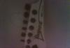 Превью Ibanez rg series 350 dx wh Санкт-Петербург - 2