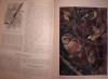 Превью Животный мир СССР "птицы" 1940 Москва - 1