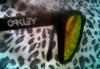 Превью Очки RAY BAN и oakley Санкт-Петербург - 3