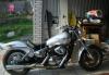 Suzuki desperado превью 582953.