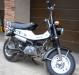 Suzuki RV 50 превью 595251.