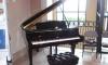 Roland RG-7 превью 598937.