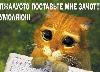 Курсовые рефераты дипломы контрольные превью 64733.