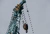 Превью Гусеничный кран kobelco 7090 2008 г Владивосток - 3