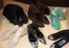 Превью Сапоги черные 40-41 весна-осень Mango Москва - 4