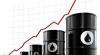 Нефрас, ксилол, кастрол, гидравлическая жидкость превью 608849.