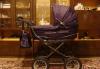 Детская коляска Инглезина Виттория превью 613395.