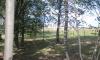 Превью 20 соток в деревне с лесными деревьями 55 км Москва - 1