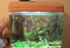 Продам аквариум превью 610926 Продам аквариум превью 610926.