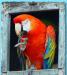 Ара зеленокрылый ручной, и др. виды попугаев превью 626897 Ара зеленокрылый ручной, и др. виды попугаев превью 626897.