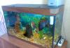 Аквариум превью 649037 Аквариум превью 649037.