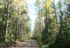 Превью Земельный участок в Ивангороде, 10 соток Санкт-Петербург - 1