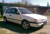 Превью Nissan Sunny, 1993 Санкт-Петербург - 4