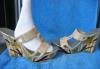 Превью Сабо Москва - 0