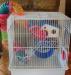 Клетка для хомячка, м. Речной вокзал превью 687071.
