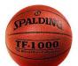 Мяч баскетбольный "Spalfing TF 1000" превью 688565.