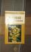 Зверобой- против 100 болезней превью 698228.