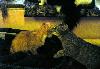 Превью Солнечная кошечка с янтарными глазами Санкт-Петербург - 4