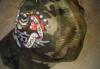 Превью "Новая стильная кепка Ed Hardy бейсболка" Москва - 2