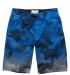 Плавательные шорты Aeropostale превью 708503.