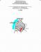 Превью Участок на Волге 26 соток, до Волги 200м Калязин - 1