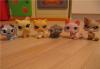 Превью Домик для пет шопов My Littlest Pet Shop Москва - 3