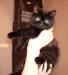 Превью Мальчики экзоты Санкт-Петербург - 1